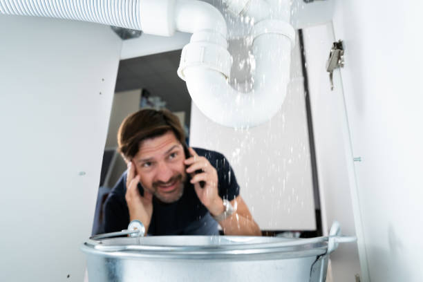 Boilers & Radiators in East Dundee, IL