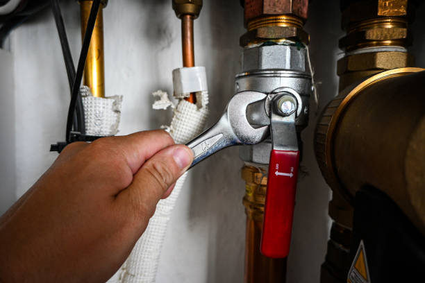 Best Sprinkler Systems  in East Dundee, IL